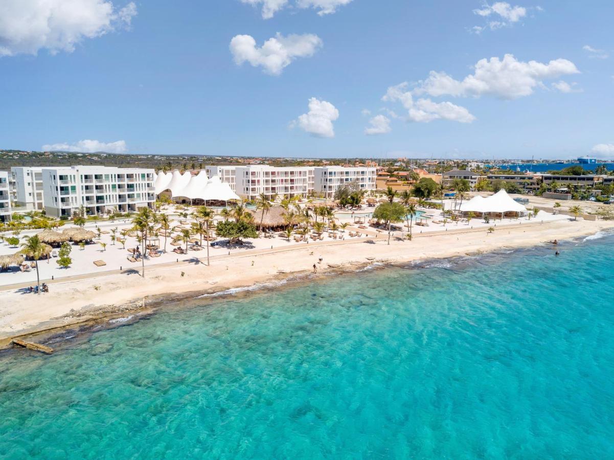 Chogogo Dive & Beach Resort Bonaire Playa Eksteriør bilde