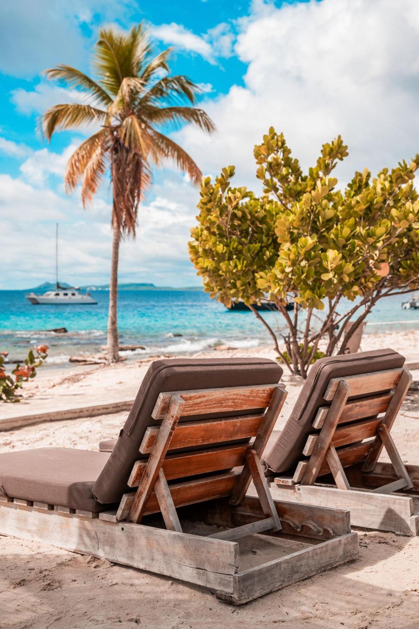 Chogogo Dive & Beach Resort Bonaire Playa Eksteriør bilde