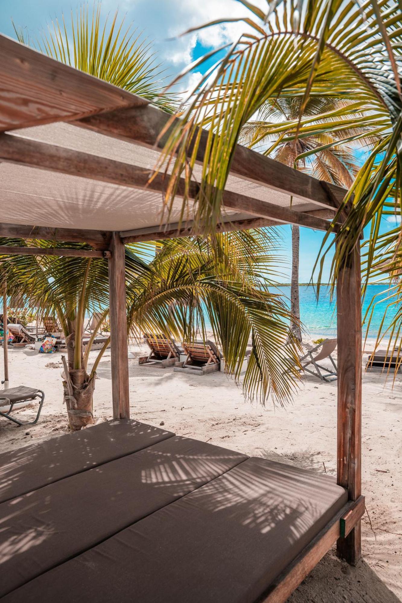 Chogogo Dive & Beach Resort Bonaire Playa Eksteriør bilde