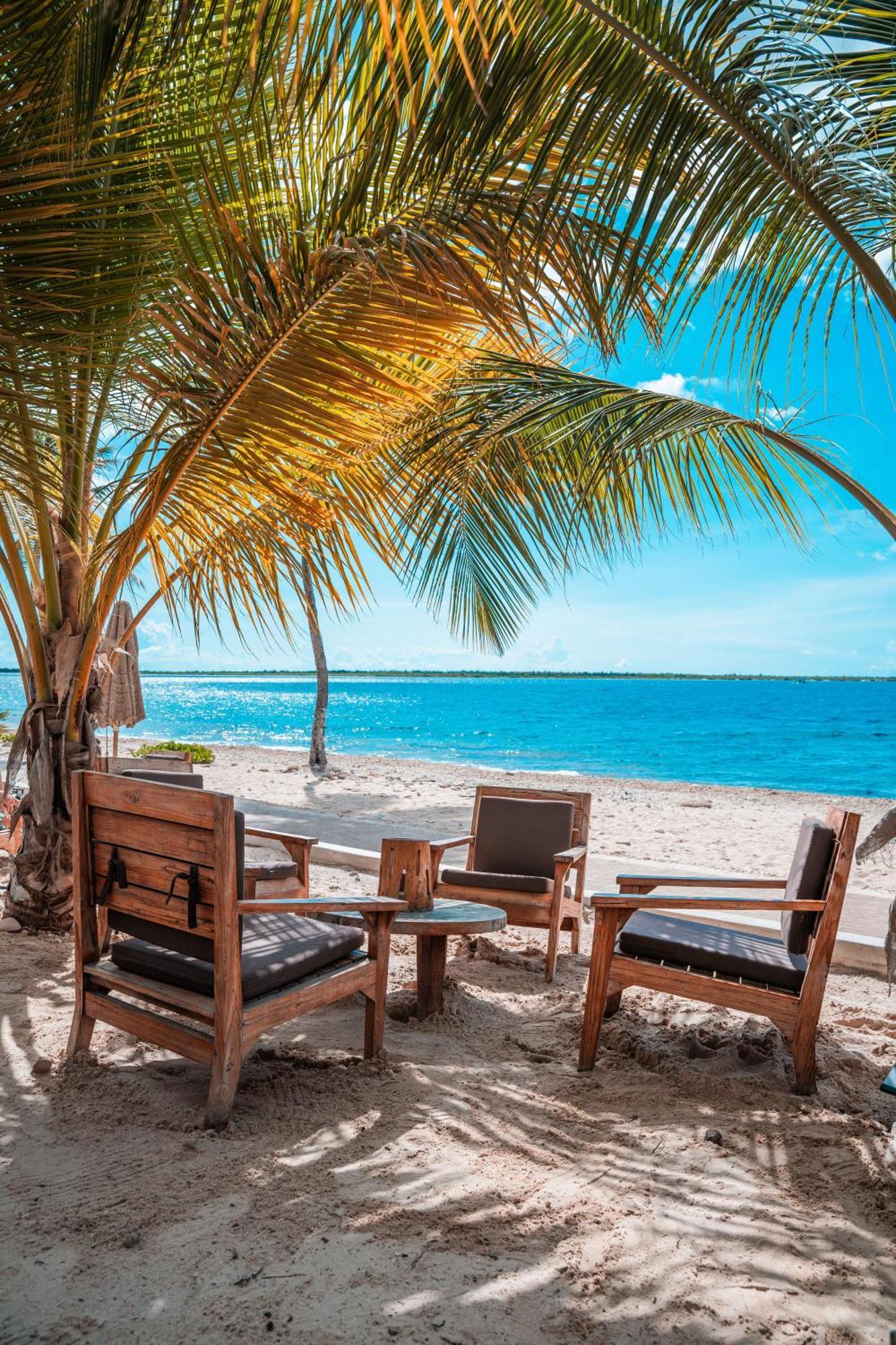 Chogogo Dive & Beach Resort Bonaire Playa Eksteriør bilde